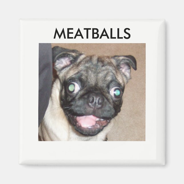 MEATBALLS MAGNETS (Front)