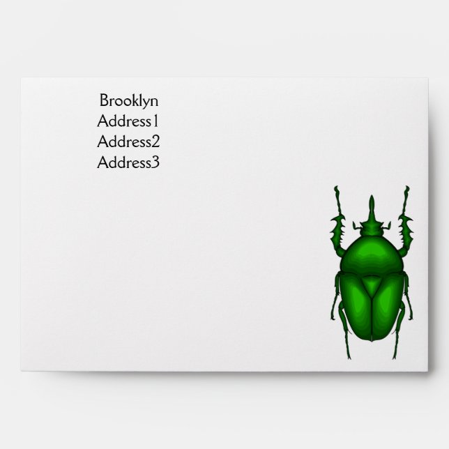 Mecynorhina torquata bug cartoon illustration  envelope (Front)