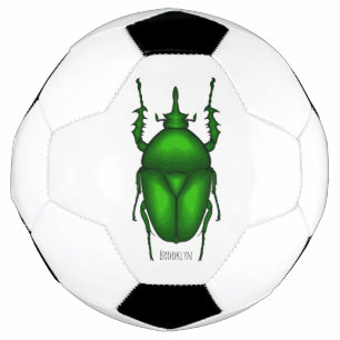 Mecynorhina torquata bug cartoon illustration football