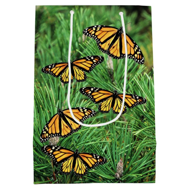 Med Gift Bag Monarch on Pine Boughs (Back)