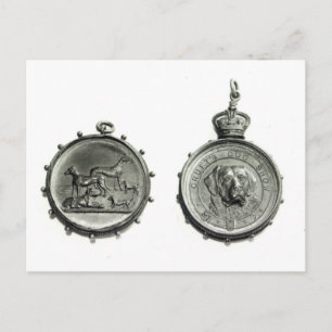 Medals from Cruft's Dog Show, c.1910 Postcard