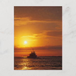 MeddockPhoto_PostCard_Art Postcard