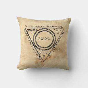 Mediaeval Alchemy Twelve Keys Book Illustration Cushion