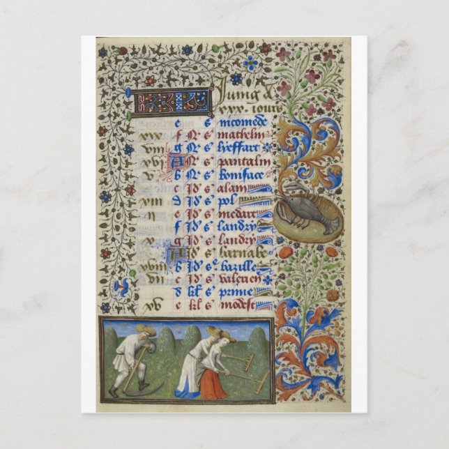Mediaeval calendar: June Postcard (Front)