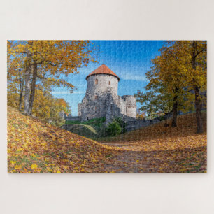 Mediaeval castle surrounded by forest jigsaw puzzl puzzle