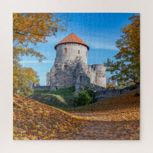Mediaeval castle surrounded by forest jigsaw puzzle