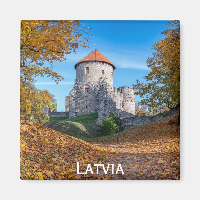 Mediaeval castle surrounded by forest magnet (Front)