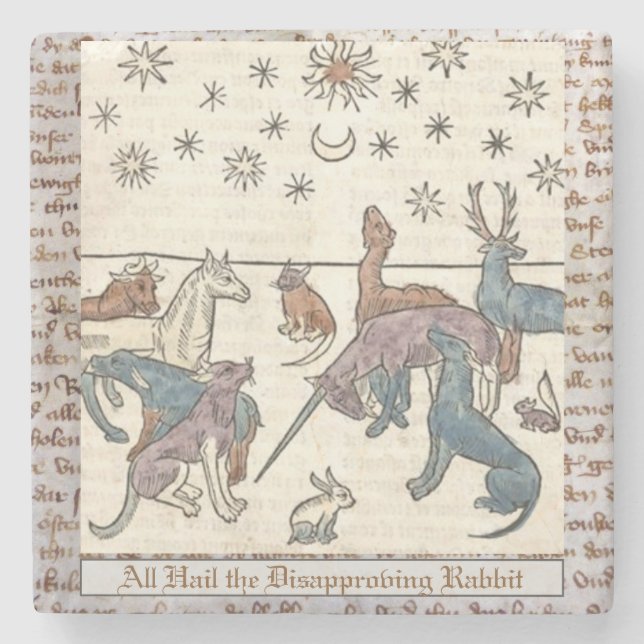 Mediaeval Disapproving Rabbit Art Unicorn Dog Cat  Stone Coaster (Front)