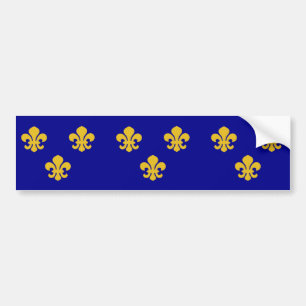 Mediaeval France, France flag Bumper Sticker
