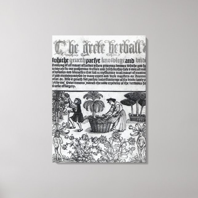 Mediaeval Herb Garden Canvas Print (Front)