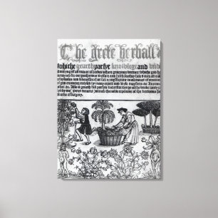 Mediaeval Herb Garden Canvas Print