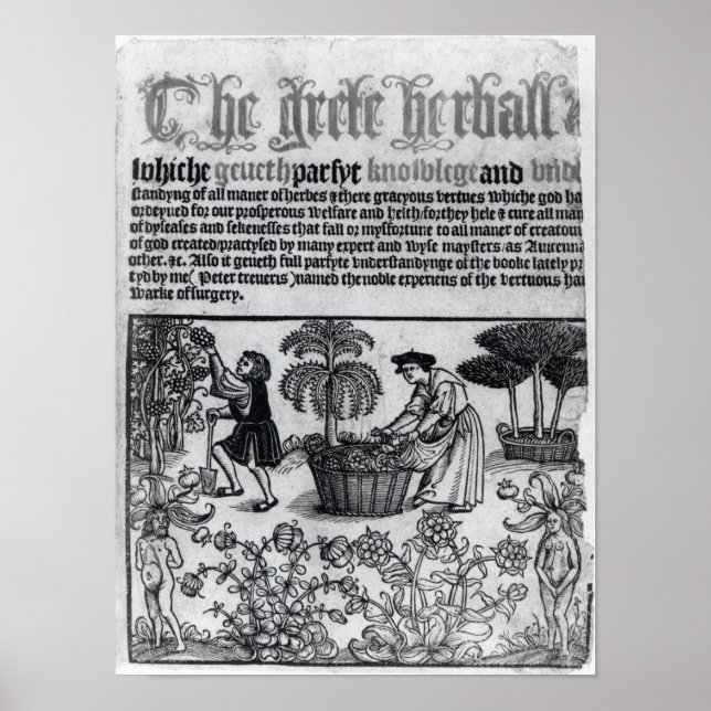 Mediaeval Herb Garden Poster (Front)