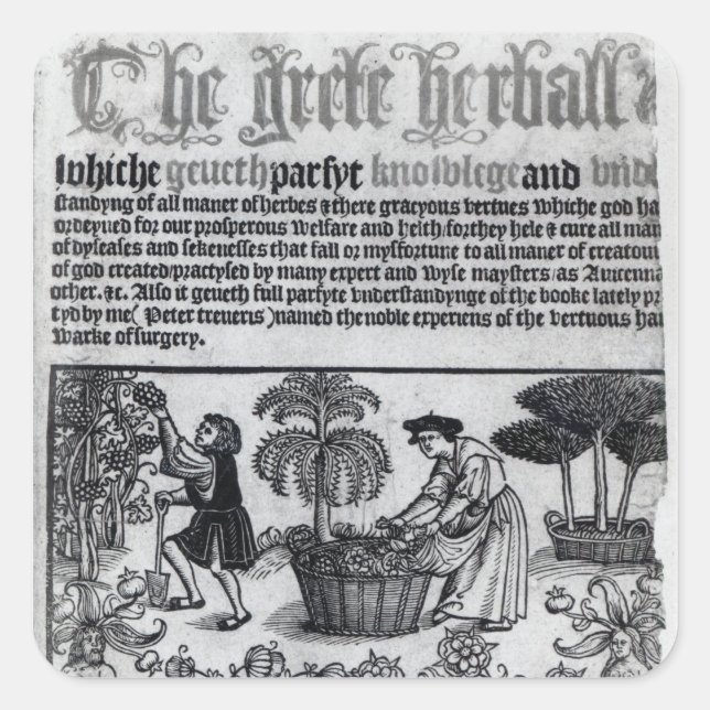 Mediaeval Herb Garden Square Sticker (Front)