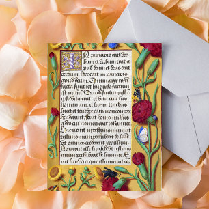 Mediaeval Illuminated Manuscript Gospel St John Postcard