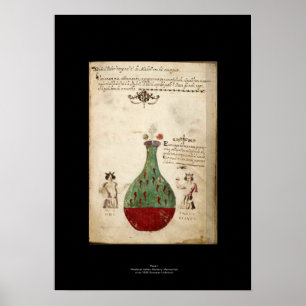 Mediaeval Italian Alchemy Poster Plate 1