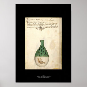 Mediaeval Italian Alchemy Poster Plate 4