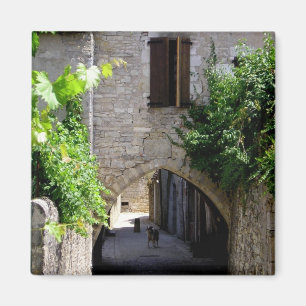 Mediaeval, magnet