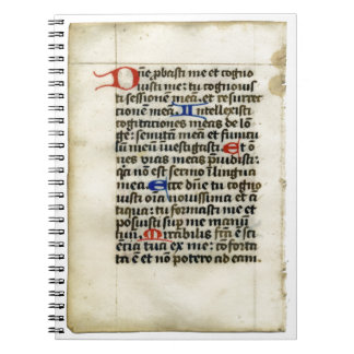 Mediaeval  Manuscript Notebook