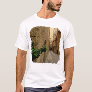 Mediaeval Narrow Street Tall Buildings And Coach T-Shirt