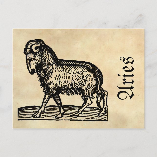 Mediaeval Renaissance Zodiac Symbol Aries Postcard (Front)
