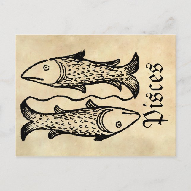 Mediaeval Renaissance Zodiac Symbol Pisces Postcard (Front)