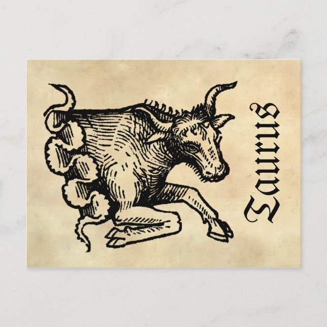 Mediaeval Renaissance Zodiac Symbol Taurus Postcard (Front)