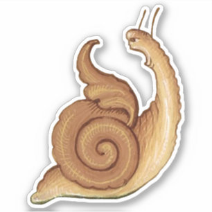 Mediaeval "Screaming Snail" Vinyl Sticker
