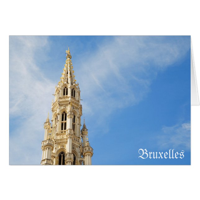 mediaeval Town Hall in Brussels (Front Horizontal)