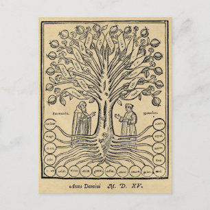 Mediaeval Tree of Science Postcard