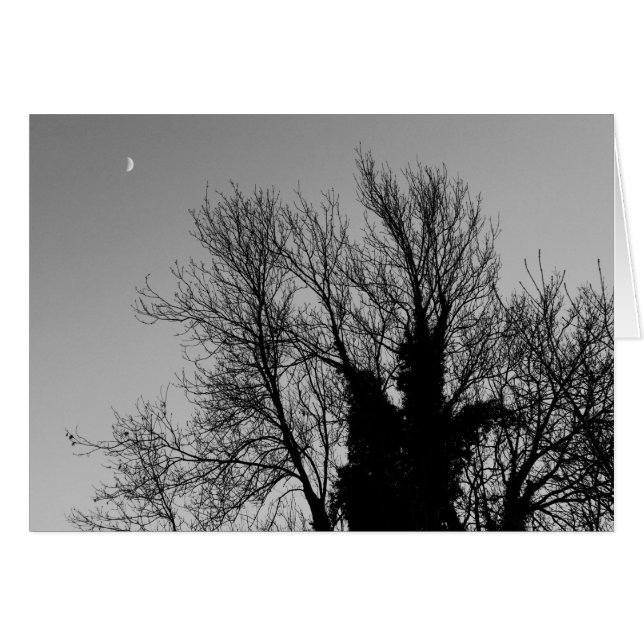 Mediaeval Winter Afternoon (Front Horizontal)