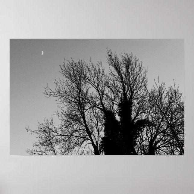 Mediaeval Winter Afternoon Poster (Front)