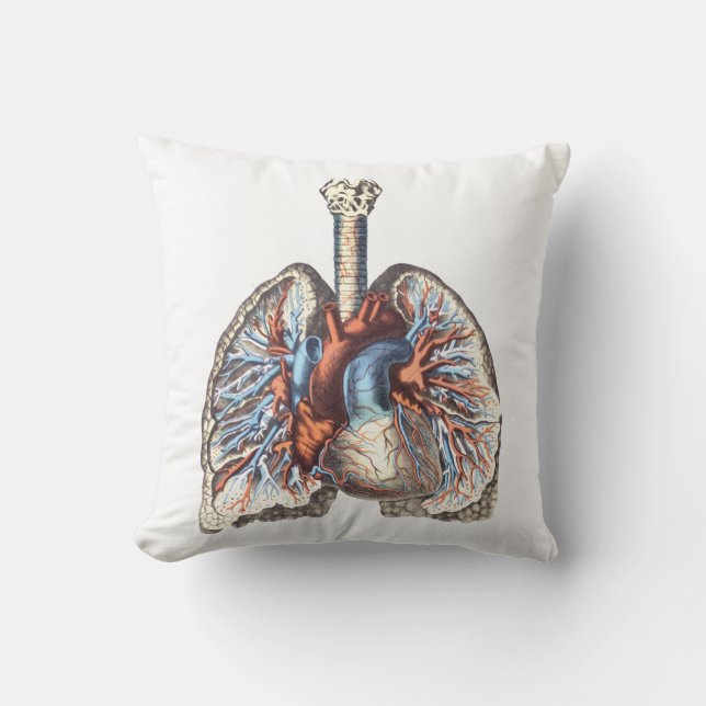 medical anatomy Anatomical Lungs Cushion (Front)
