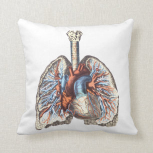 medical anatomy Anatomical Lungs Cushion