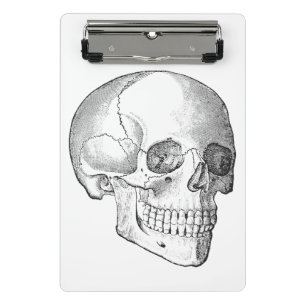 Medical anatomy skull vintage doctor drawing mini clipboard