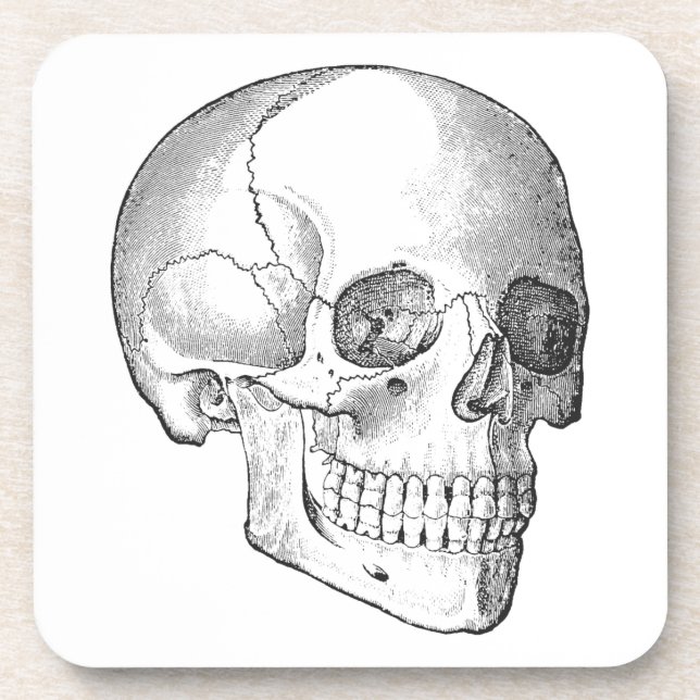 Medical anatomy vintage skull drawing monochrome coaster (Front)