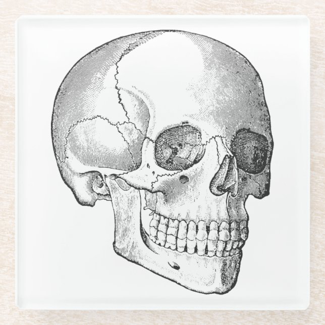 Medical anatomy vintage skull drawing monochrome glass coaster (Front)