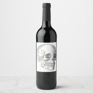Medical anatomy vintage skull drawing monochrome wine label
