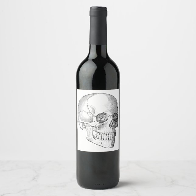Medical anatomy vintage skull drawing monochrome wine label (Front)