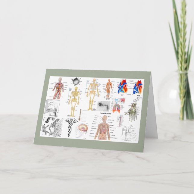 Medical Charts full colour Card (Front)