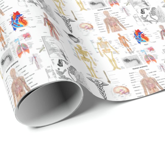 Medical Charts full colour Wrapping Paper (Roll Corner)