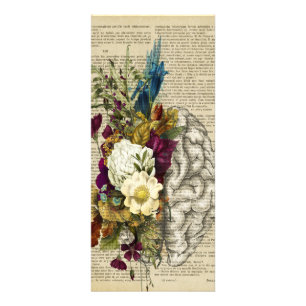medical floral brain anatomy poster rack card