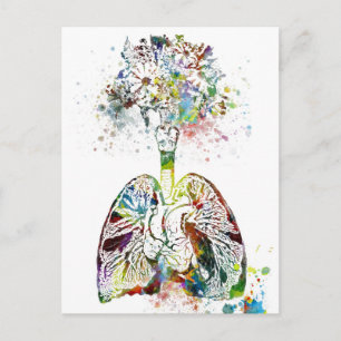 Medical Gifts Heart and Lungs Motif Postcard