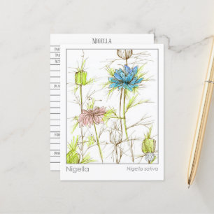 Medical Herb Study Card Nigella Wildflower
