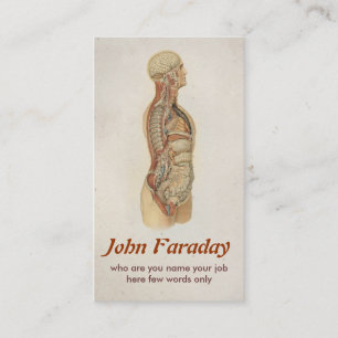medical human anatomy business card design