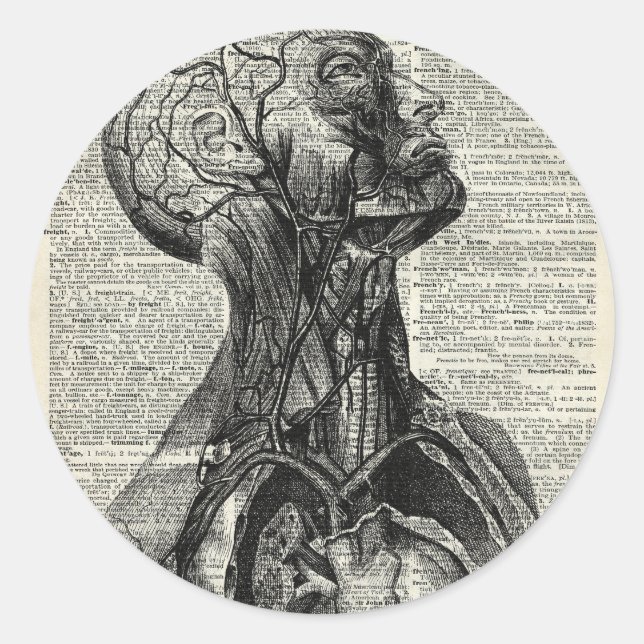 Medical Human Anatomy Classic Round Sticker (Front)