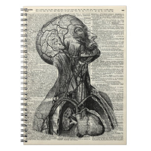 Medical Human Anatomy Notebook