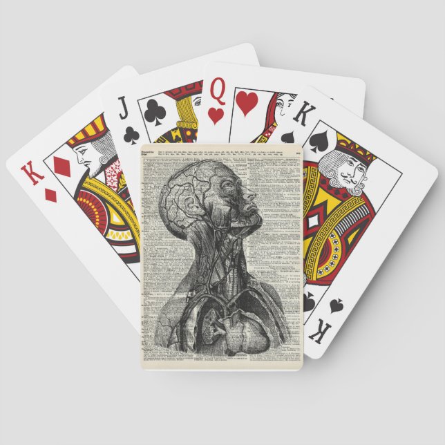 Medical Human Anatomy Playing Cards (Back)