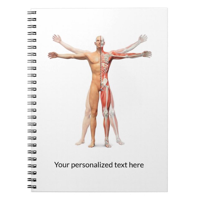 Medical Human Body Skeleton Muscles - Notebook (Front)