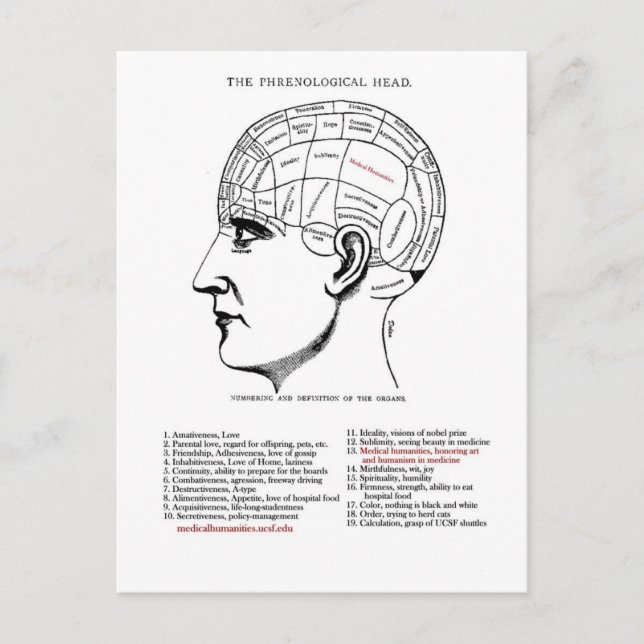 Medical Humanities Phrenology Postcard (Front)