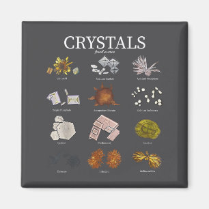 Medical Lab Urine Crystal Laboratory Tech Science  Magnet